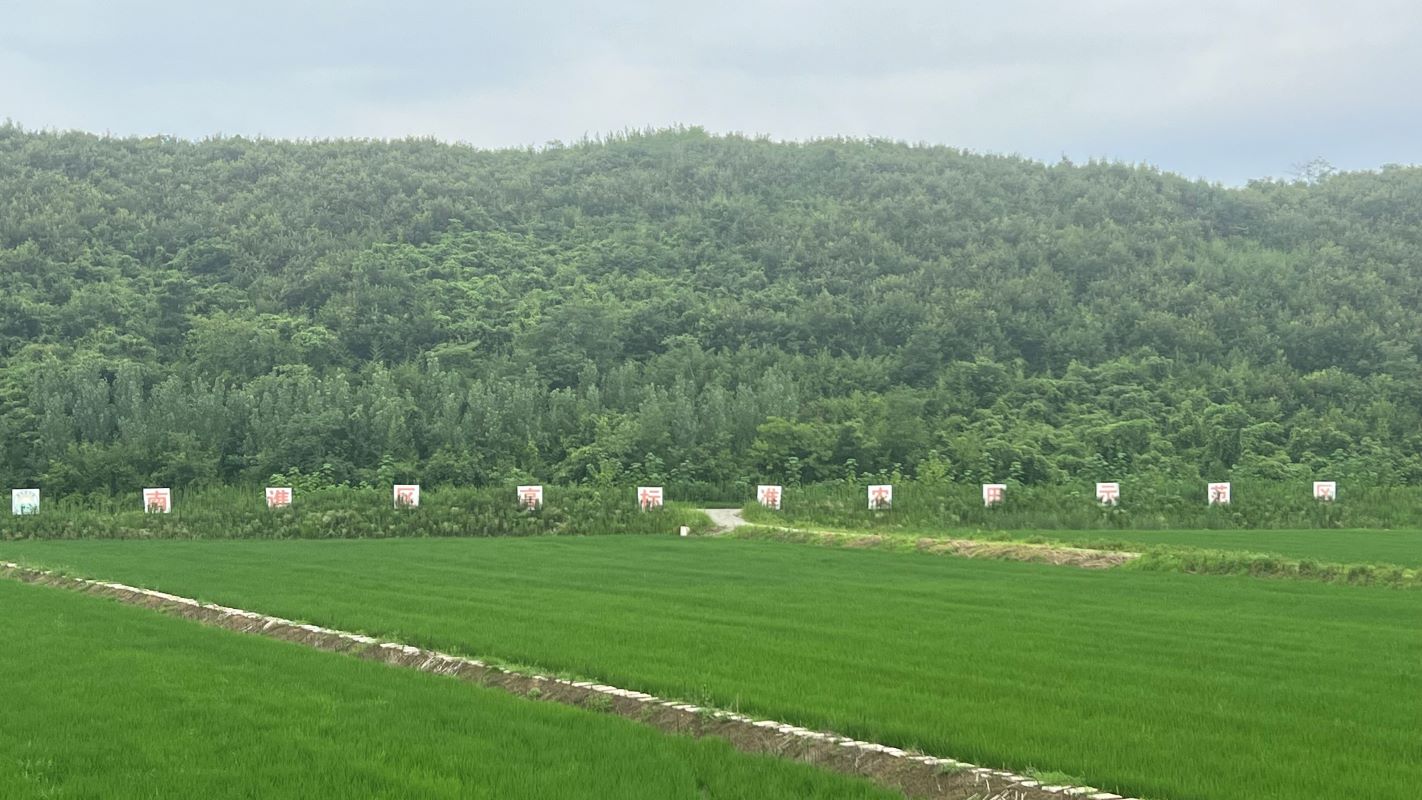 暑期三下乡活动：滁州学院学子赴滁州市花山村乡村振兴调研